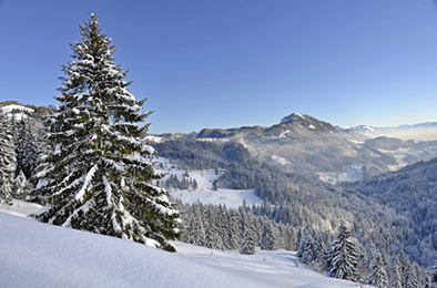 Skifahren lernen Winterurlaub Oberbayern